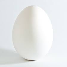 egg