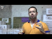 Domaine Sontag Fortunate Pinot G