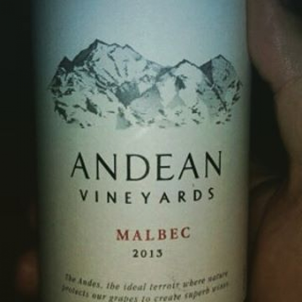 Instagram Photo