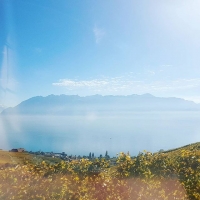 #lavaux #traubenliebe #excited #authentic #wine
