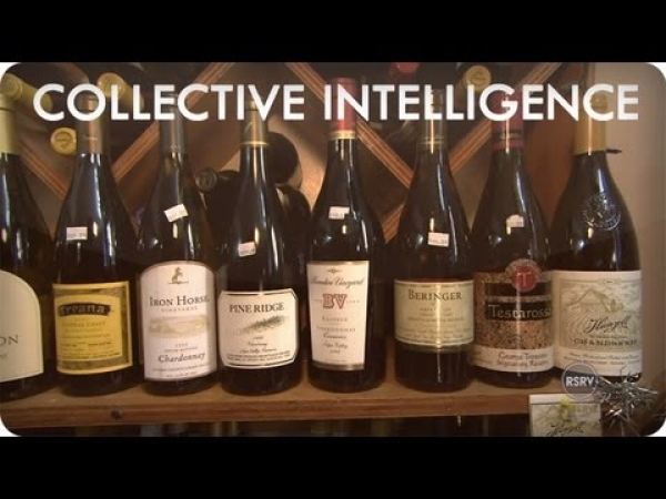 Wine Collecting Tips | Collective Intelligence | Reserve Channel