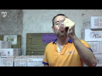 Domaine Sontag Fortunate Pinot G